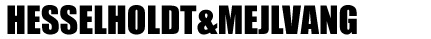 Hesselholdt & Mejlvang FB69 Galerie M�nster