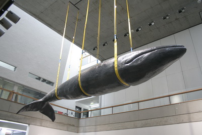 Annika Burbank Sleep Swim FB69 Galerie M�nster