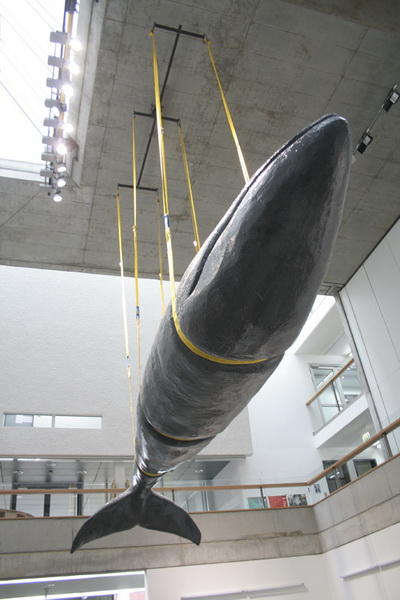 Annika Burbank Sleep Swim FB69 Galerie M�nster