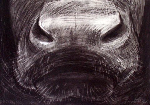 Anke Feuchtenberger Kühe FB69 Galerie Münster