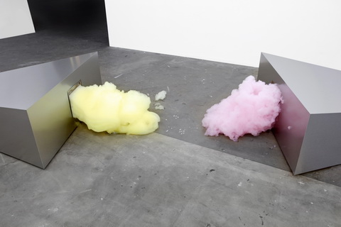 Jana Guerrero Lara Wild at Heart FB69 Galerie M�nster