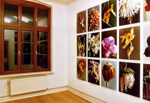 Sabine Sinner FB69 Galerie M�nster