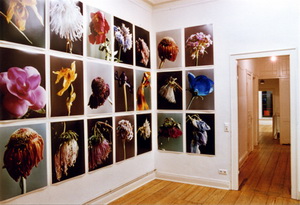 Sabine Sinner FB69 Galerie M�nster