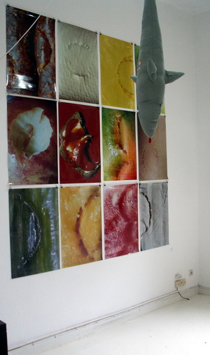 Sabine Sinner FB69 Galerie M�nster